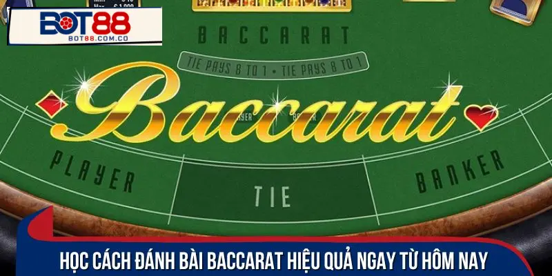 Mẹo hay để trở thành cao thủ baccarat bất bại